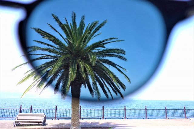 【サングラスおすすめ国内ブランド】